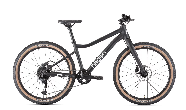 Велосипед горный Hagen Teen Pro Carbon 1x9 d-24 1х9 2XS Черный матовый