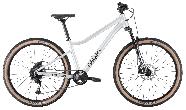 Велосипед горный Hagen Teen Pro AIR 1x9 d-26 1х9 XS Алюминий матовый
